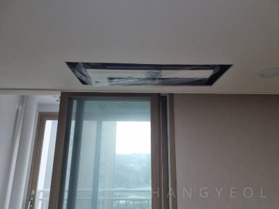 경기도 화성시 장지동 레이크 반도유보라 아이비파크 9.0 시스템에어컨 기타