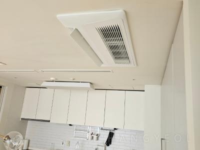 서울특별시 강남구 도곡동 타워팰리스 시스템에어컨 기타