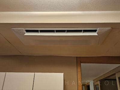 서울특별시 강남구 도곡동 타워팰리스 시스템에어컨 기타