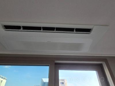 경기도 김포시 고촌읍 캐슬앤파밀리에시티 1단지 시스템에어컨 기타