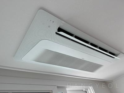 경기도 화성시 산척동 동탄 더 레이크 팰리스 시스템에어컨 기타