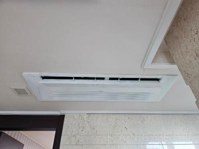 경기도 고양시 일산동구 식사동 위시티블루밍5단지 시스템에어컨 기타