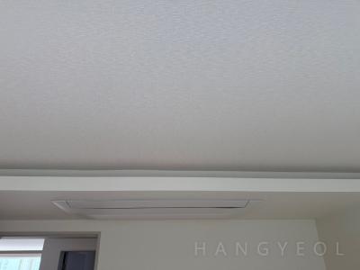경기도 성남시 분당구 금곡동 청솔마을 시스템에어컨 기타