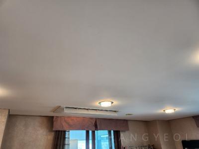 서울특별시 강남구 도곡동 타워팰리스 시스템에어컨 기타