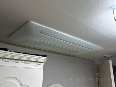 부산광역시 강서구 명지동 명지2차 금강펜테리움 센트럴파크 시스템에어컨 기타