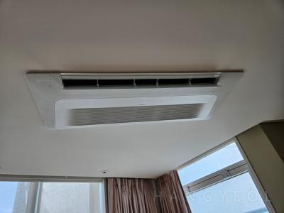 서울특별시 강남구 도곡동 타워팰리스 시스템에어컨 기타