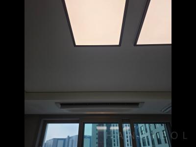 경기도 화성시 신동 동탄금강펜트리움6차 시스템에어컨 실내기