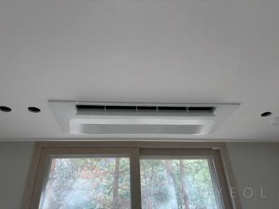 경기도 화성시 동탄구 목동 동탄 금강펜테리움 센트럴파크Ⅳ 시스템에어컨 실내기