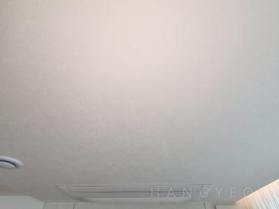 부산광역시 수영구 망미동 더샵파크리치 시스템에어컨 실내기