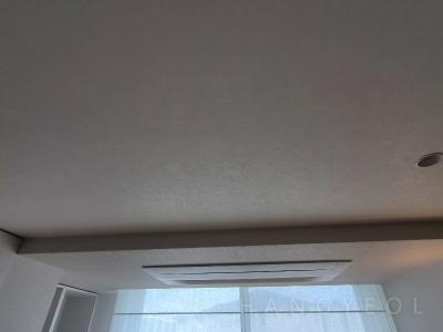 부산광역시 수영구 망미동 더샵파크리치 시스템에어컨 실내기