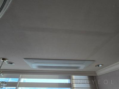부산광역시 부산진구 부전동 더샵 센트럴스타 시스템에어컨 실내기