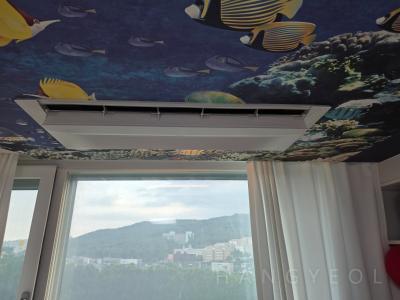 경기도 성남시 분당구 정자동 더샵스타파크 시스템에어컨 실내기