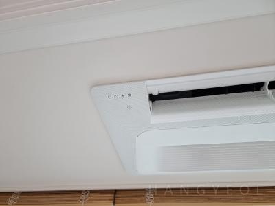세종특별자치시 보람동 호려울마을10단지 시스템에어컨 기타