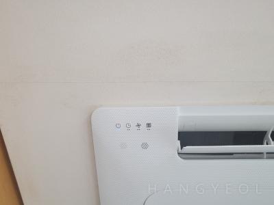 서울특별시 강남구 도곡동 타워팰리스 시스템에어컨 기타